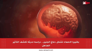 بكتيريا الأمعاء تشكل دماغ الجنين.. دراسة حديثة تكشف التأثير المذهل